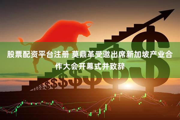 股票配资平台注册 莫鼎革受邀出席新加坡产业合作大会开幕式并致辞
