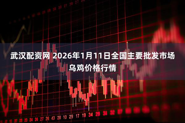 武汉配资网 2026年1月11日全国主要批发市场乌鸡价格行情